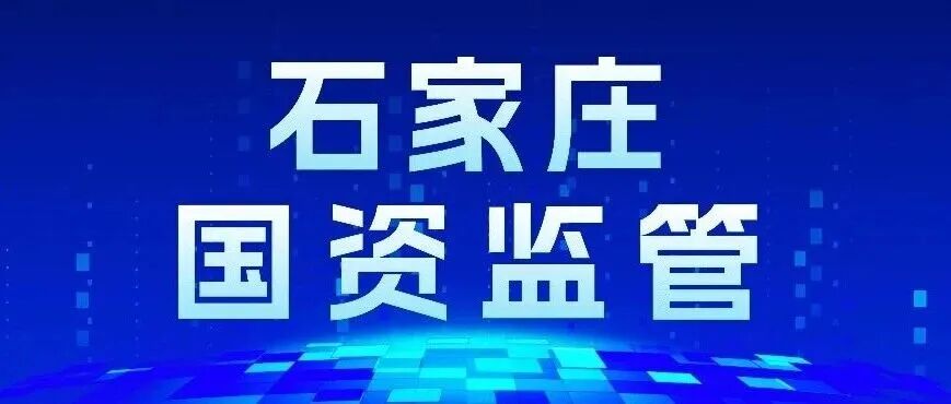 国企改革深化提升行动改革成果系列报道（九）
